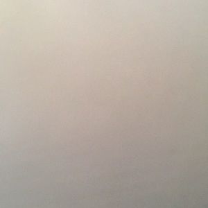 Meet your Posher, Lanesha